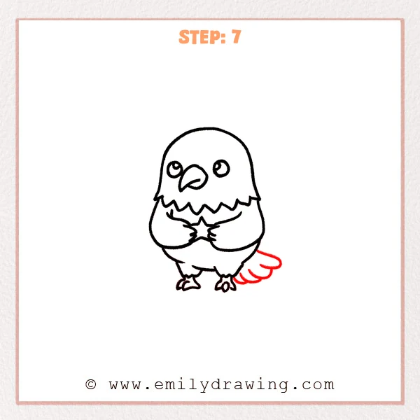 how to draw a bald eagle - Step 7: A small layered tail is added behind the bald eagle’s body.